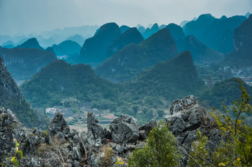 高等植物成熟的筛管细胞有没有细胞核