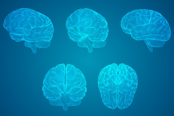 废纸壳怎样变废为宝