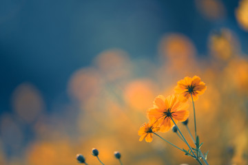 废纸壳怎样变废为宝