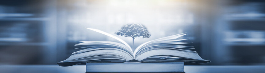 六年级小学生自制手抄报 小学六年级手抄报