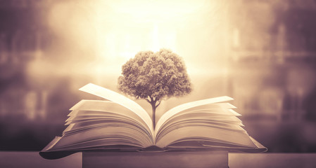 小学一年级组词表