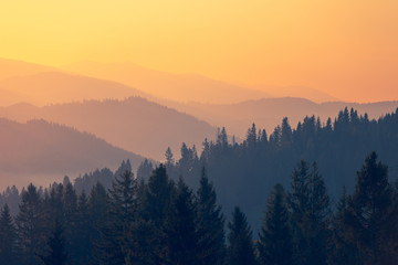 小学生参加国防教育的重要意义