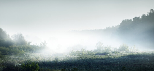 如何结合实际开展农村小学素质教育