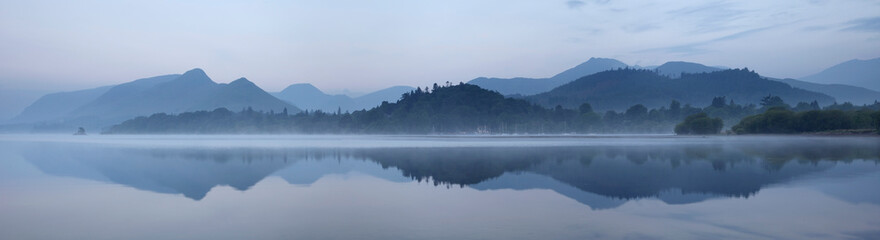 昙花为什么只在傍晚开花-为什么称为昙花一谢!