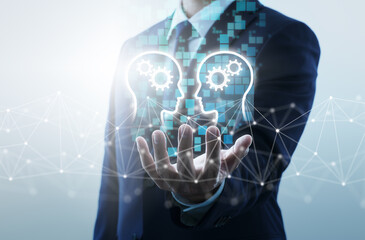 高等植物成熟的筛管细胞有没有细胞核