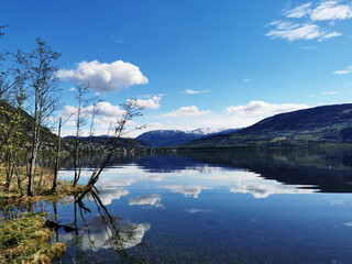 老师推荐的科普书