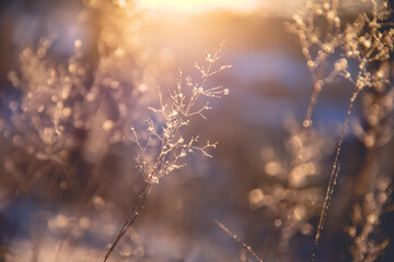 为什么说初二两极分化,初三一个天上一个地下-