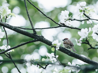 一亿有多大的小报