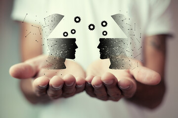 高等植物成熟的筛管细胞有没有细胞核