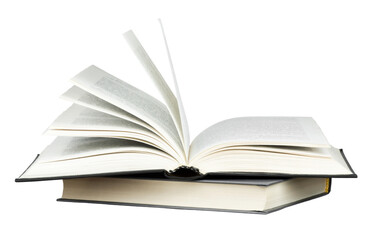 中日围棋的差距有《棋魂》描述的那么大吗？