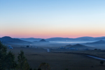 昙花为什么只在傍晚开花-为什么称为昙花一谢!