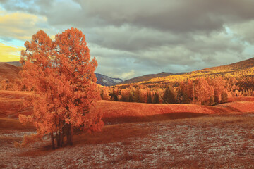 晚上可以做什么副业-