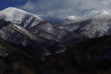 废纸壳怎样变废为宝