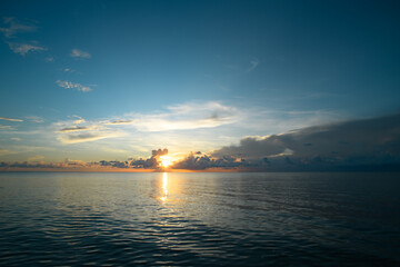 昙花为什么只在傍晚开花-为什么称为昙花一谢!