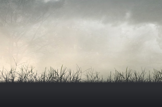 我国第一家公关公司是