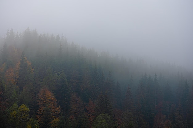 小学一年级组词表