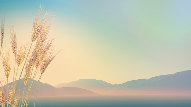 六年级小学生自制手抄报 小学六年级手抄报