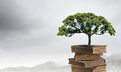 为什么说初二两极分化,初三一个天上一个地下-