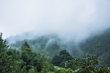 废纸壳怎样变废为宝